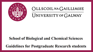 School of Chemistry brochure
