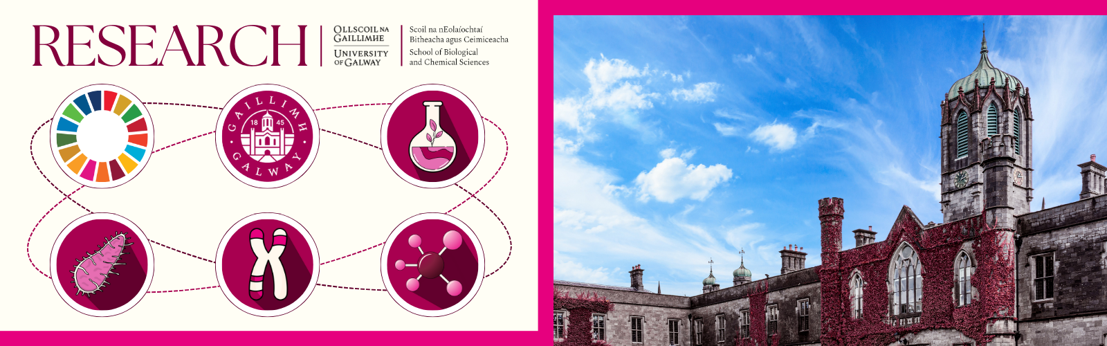 Learn more about our cutting-edge research
